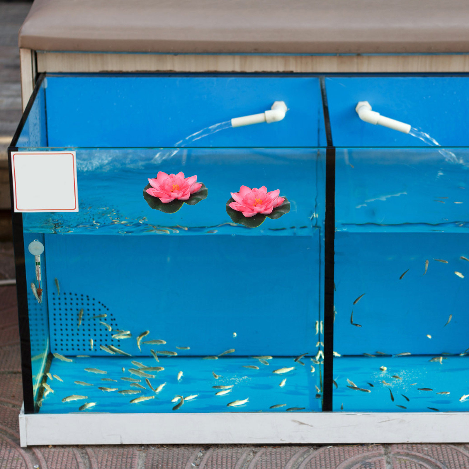 12Pcs Artificial Floating Wate - đánh giá và giá Aquarium Decor