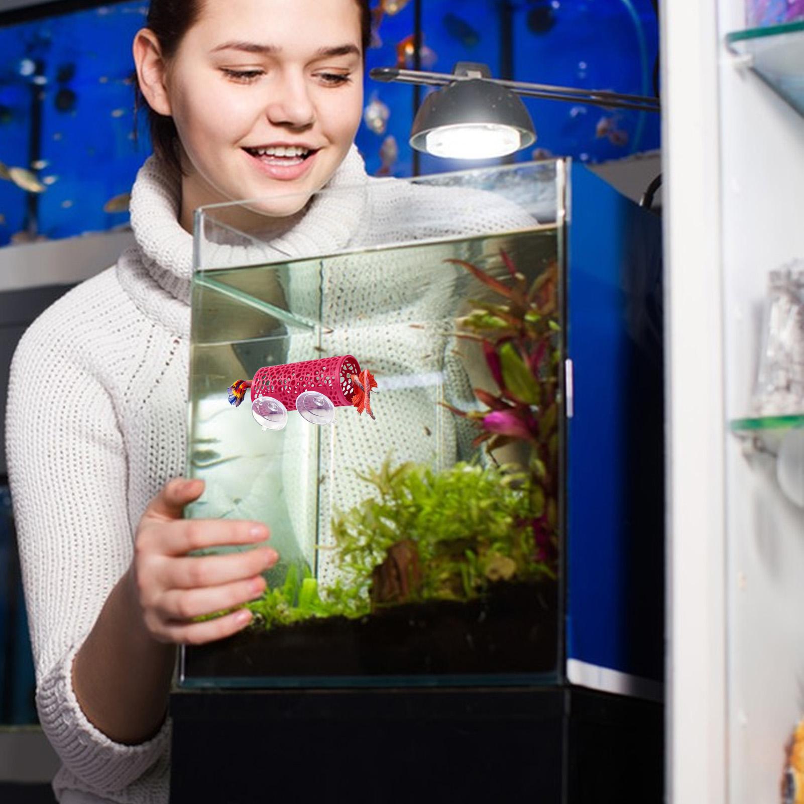 Betta Habitat Resting Shelter  - đánh giá và giá Aquarium Fish Betta