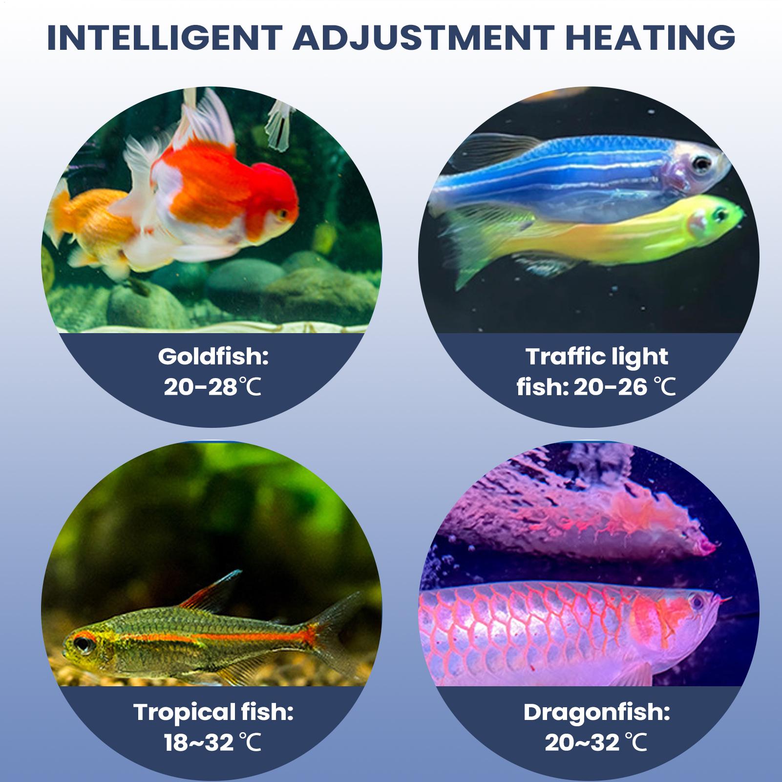 Aquarium Air Pump Portable Aqu - đánh giá và giá Aquarium Pump