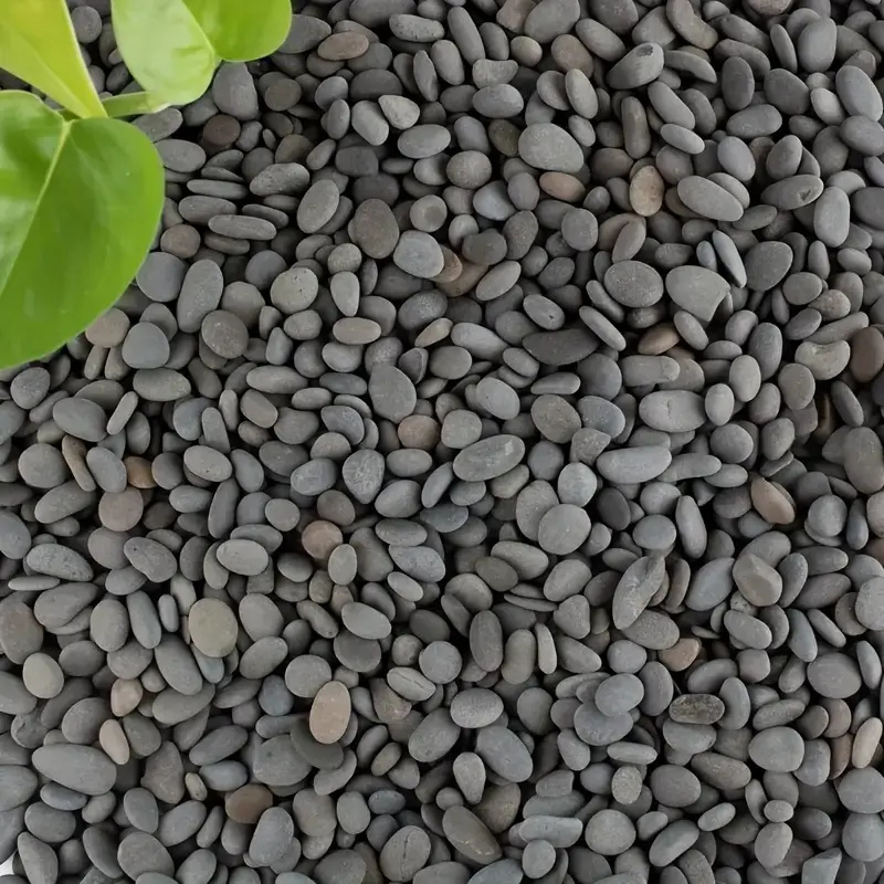 20Pcs Natural River Rocks Smoo - đánh giá và giá Fish Tank Gravel