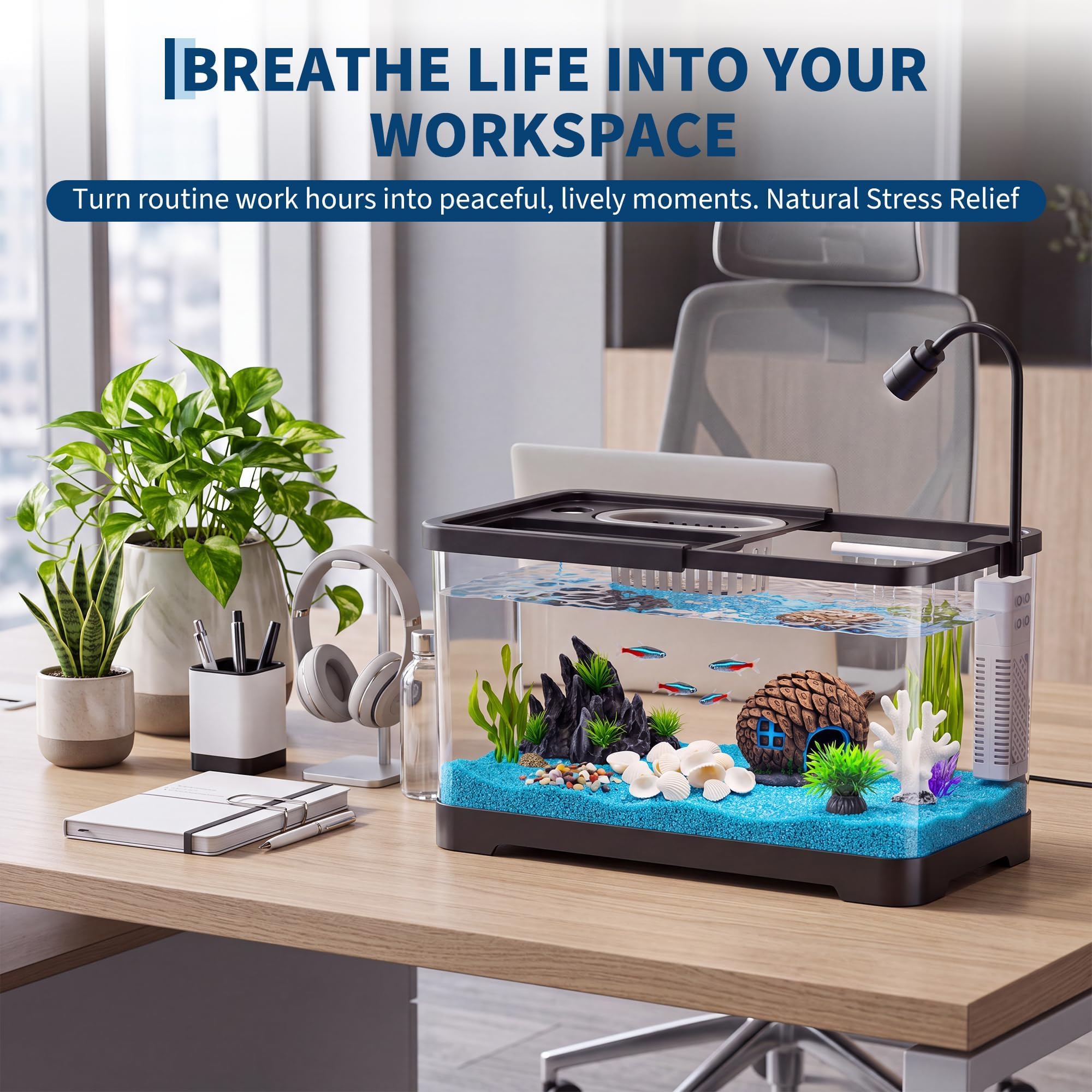 Fish Tank Starter Kit With Fil - đánh giá và giá Aquarium Fish Betta