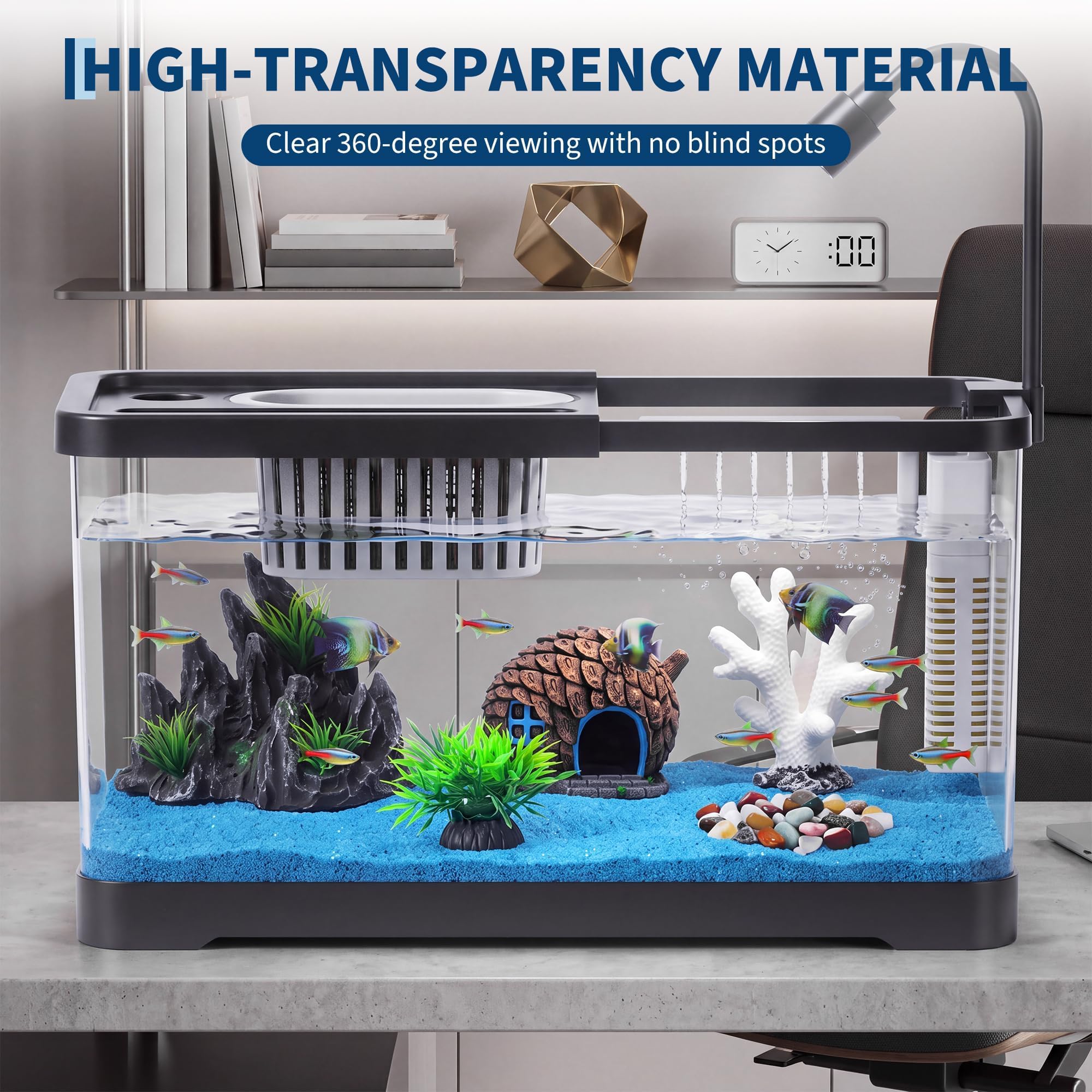 Fish Tank Starter Kit With Fil - đánh giá và giá Aquarium Fish Betta