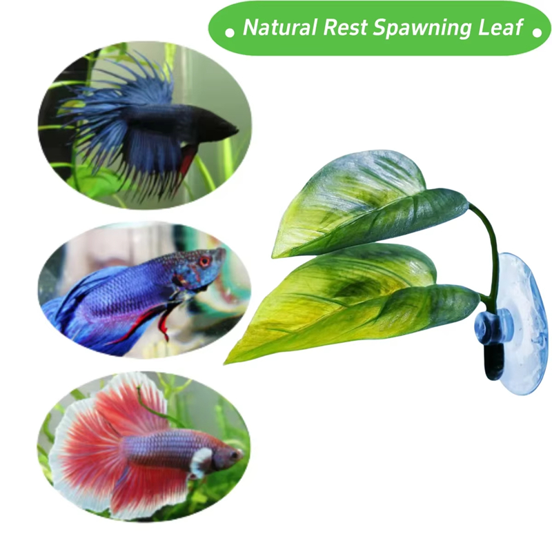 Aquarium Pet Supplies Decorati - đánh giá và giá Aquarium Fish Betta