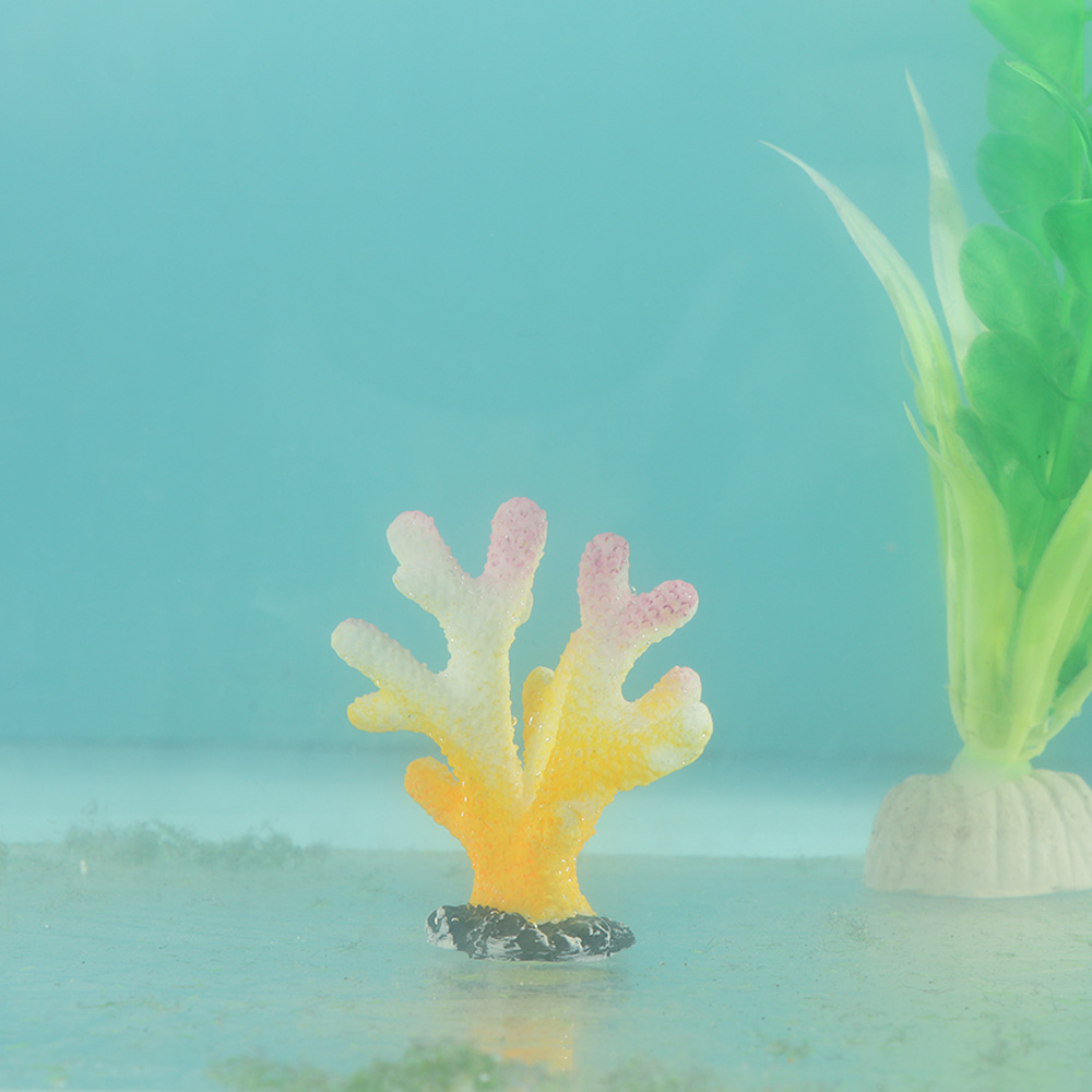 San Hô Nhân Tạo Cá Đồ Trang Tr - đánh giá và giá Fish Tank Gravel