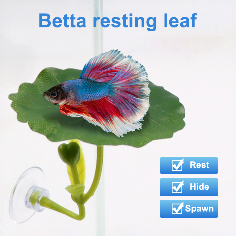 (Ce14)1/5PC Green Leaf Hammock - đánh giá và giá Aquarium Fish Betta