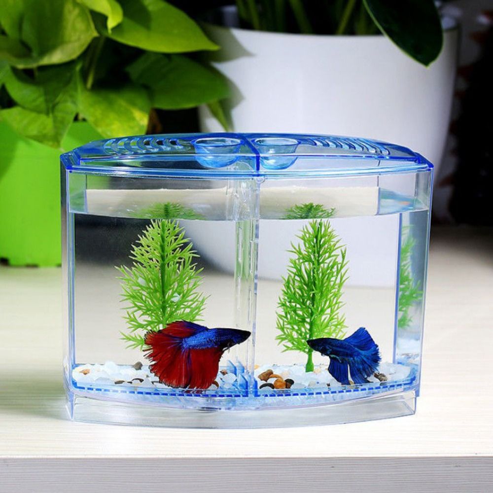 Transparent Betta Fish Tank, D - đánh giá và giá Betta Fish Tank