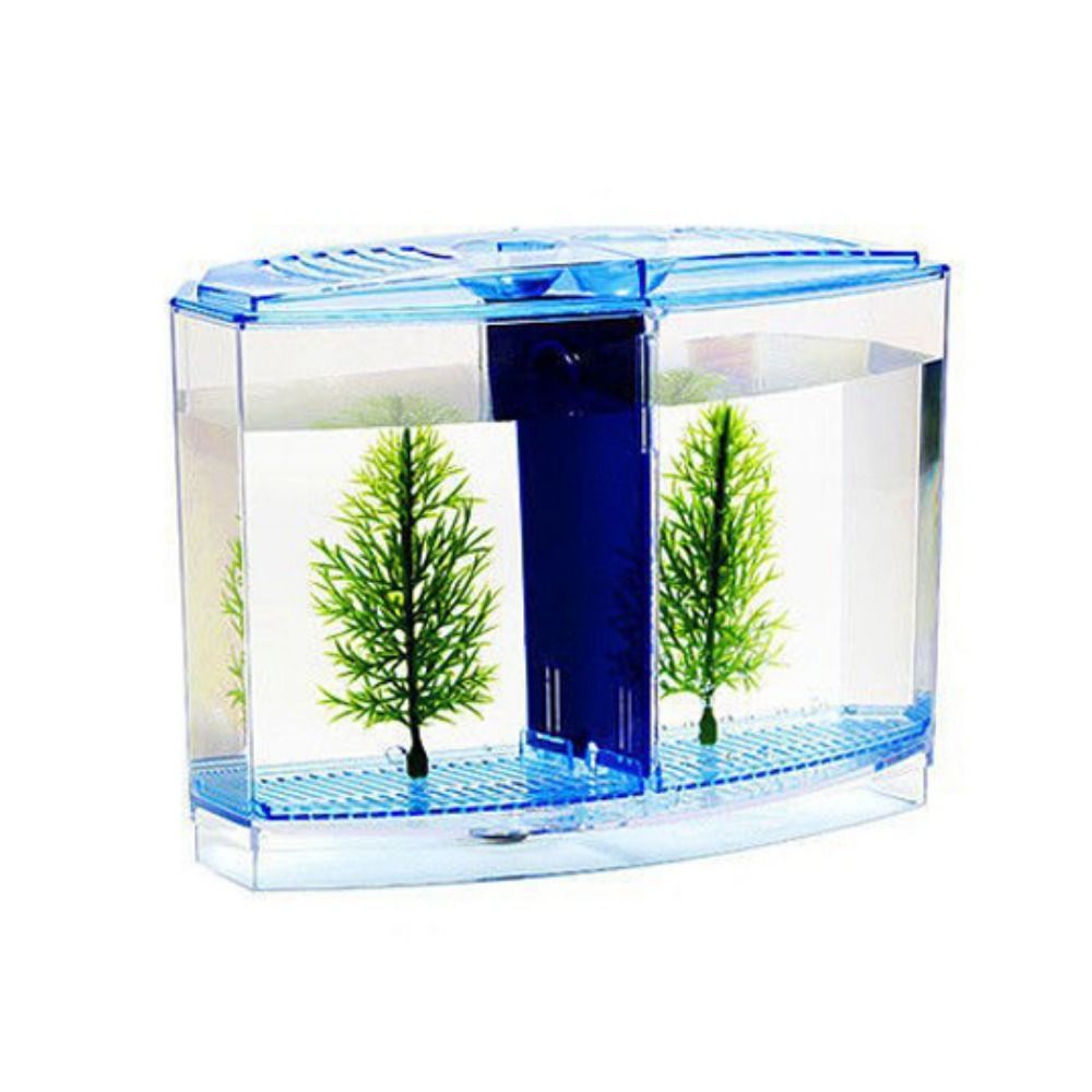 Transparent Betta Fish Tank, D - đánh giá và giá Betta Fish Tank