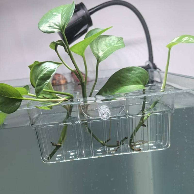 Hydroponic Plant Basket Food G - đánh giá và giá Fish Aquarium Home