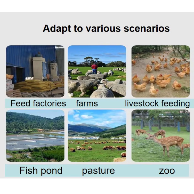Dog Cat Fish Feed Extruder Fee - đánh giá và giá Fish Food
