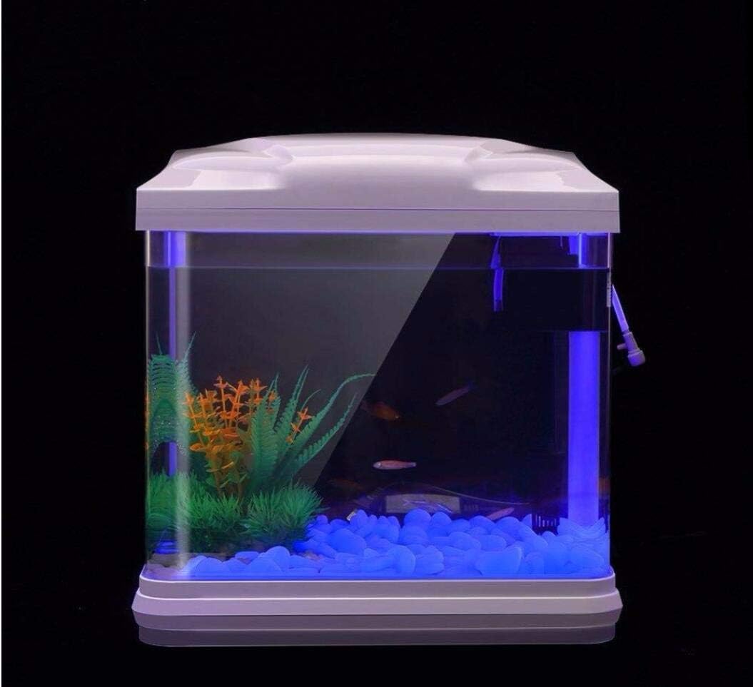 Fish Tank Rocks Glow Blue Pebb - đánh giá và giá Fish Aquarium Home