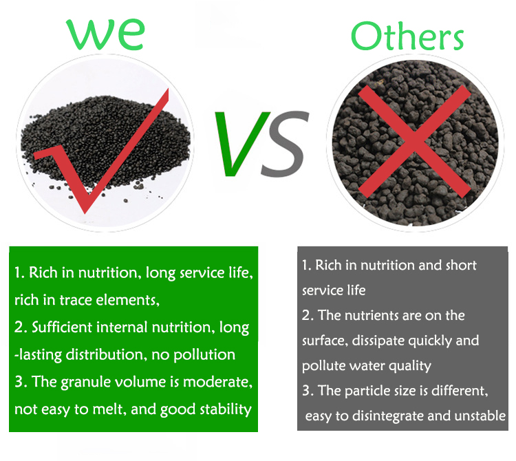 Bể Cá Cảnh Vật Có Hạt Đất Fish - đánh giá và giá Fish Tank Gravel