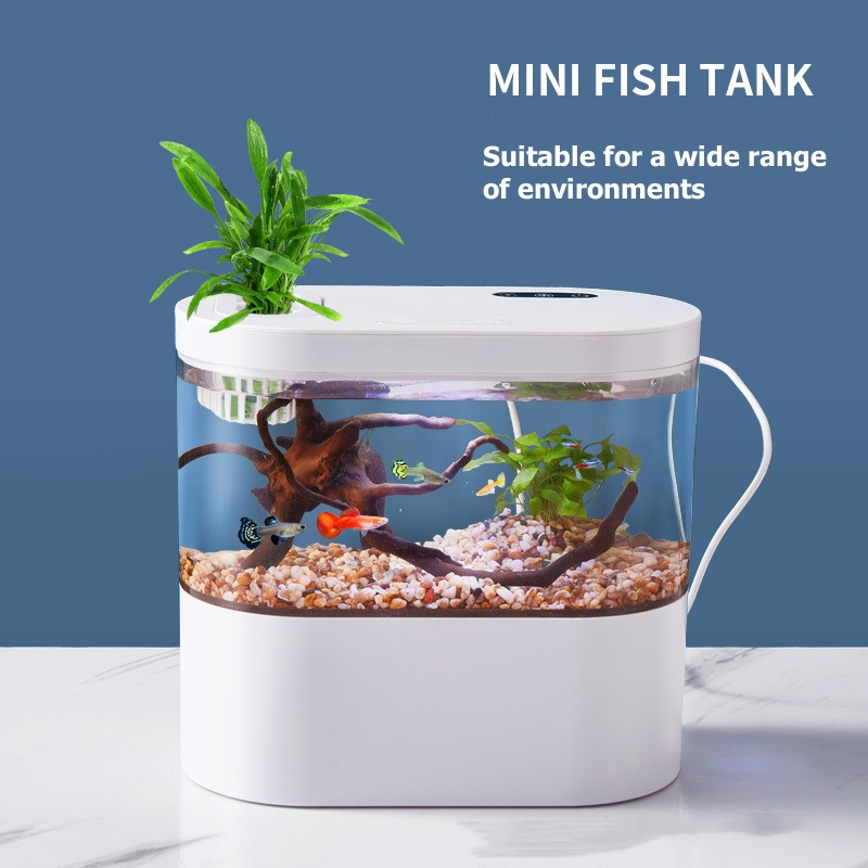 Creative Mini Desktop Fish Tan - đánh giá và giá Betta Fish Tank