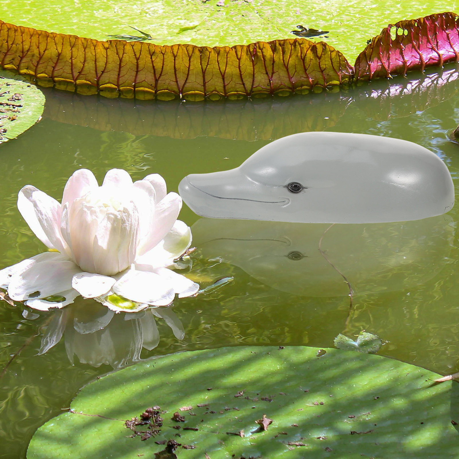 Premium Resin Dolphin Head Orn - đánh giá và giá Aquarium Decor