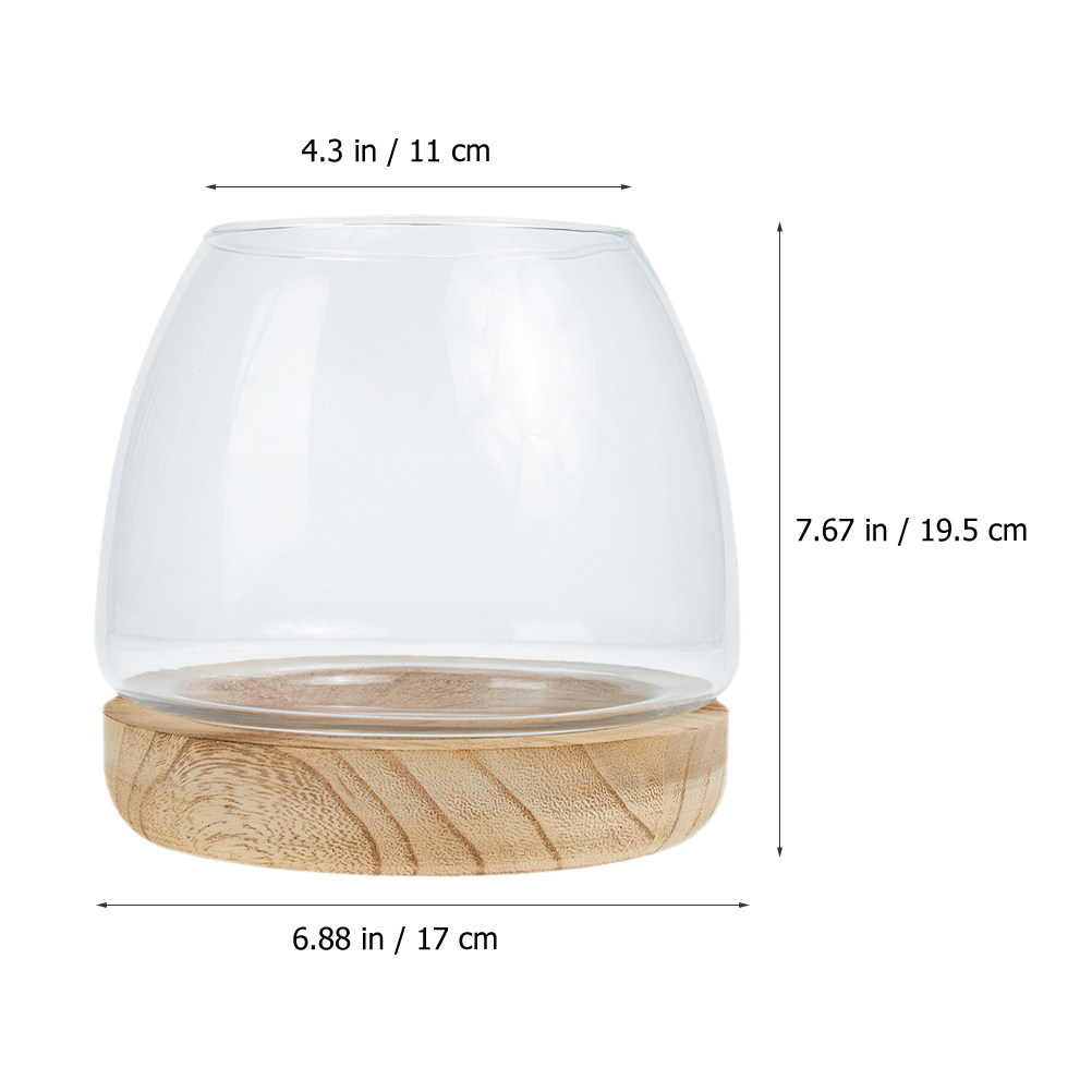 1Set Clear Glass Hydroponic Pl - đánh giá và giá Aquarium Fish Betta