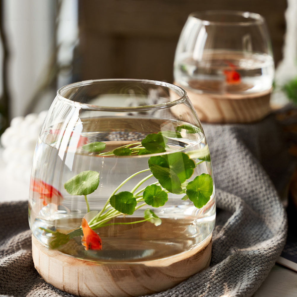 1Set Clear Glass Hydroponic Pl - đánh giá và giá Aquarium Fish Betta